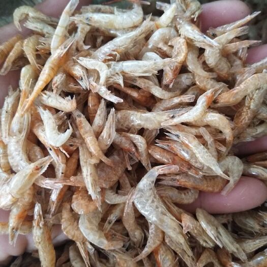 淮南虾皮  淡水虾干、