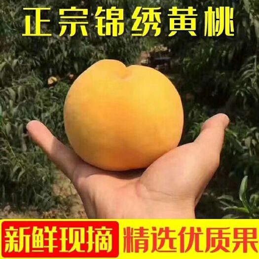 洪江市锦绣黄桃 70mm以上 3 - 4两