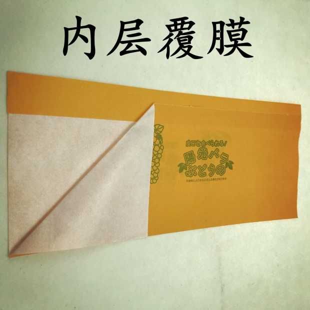 纸袋 量大价优  厂家直销  诚信经营