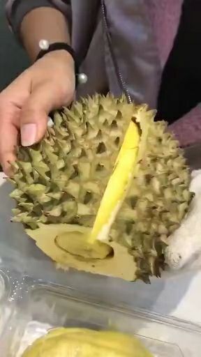 灵山县泰国金枕榴莲产地直销批发