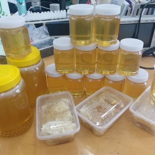 汤旺县 东北伊春纯椴树蜜，纯正伊春蜂蜜