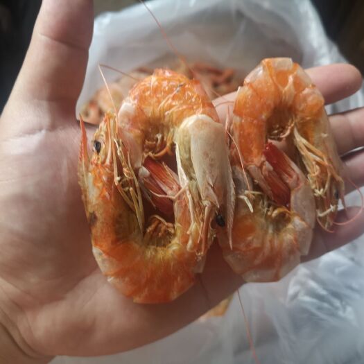 广州 碳烤虾干即食500g大号特大炭烤大虾干烤干虾干货对虾干海虾干