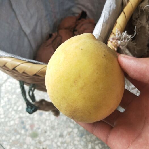 炎陵县炎陵黄桃 55mm以上 3 - 4两