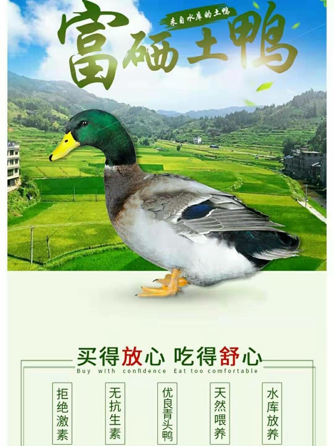 土鸭 富硒，不用添加配料，清水也可以煮出好味道，没有腥膻味