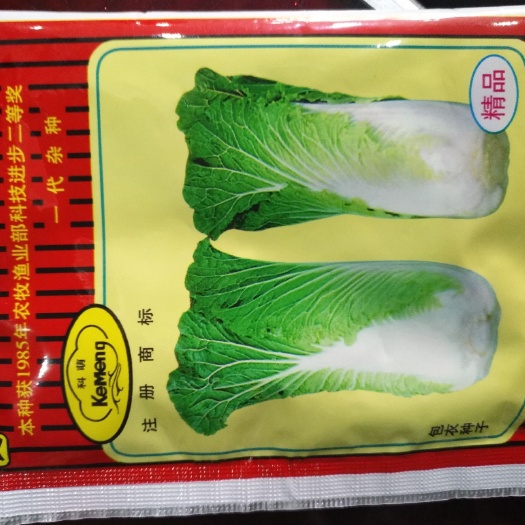 赫章县大白菜种子 杂交种 ≥85%