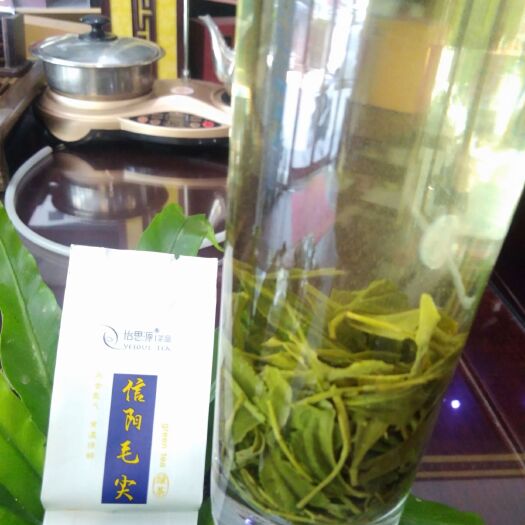 信阳毛尖茶  酒店用小泡茶，办公招待