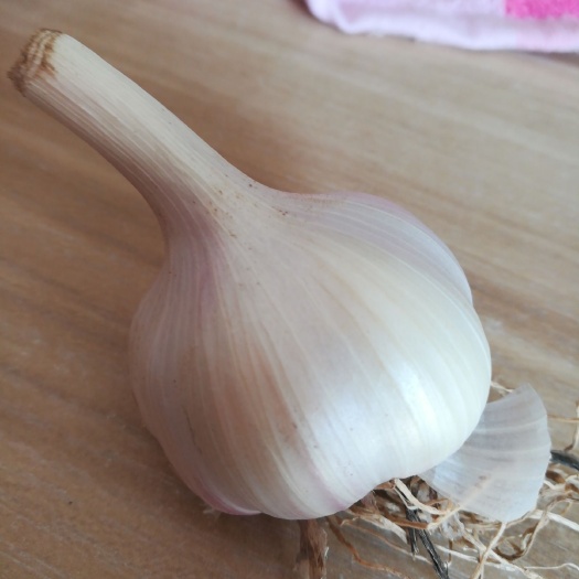 盐城 优质白皮大蒜，口感香辣爽口。