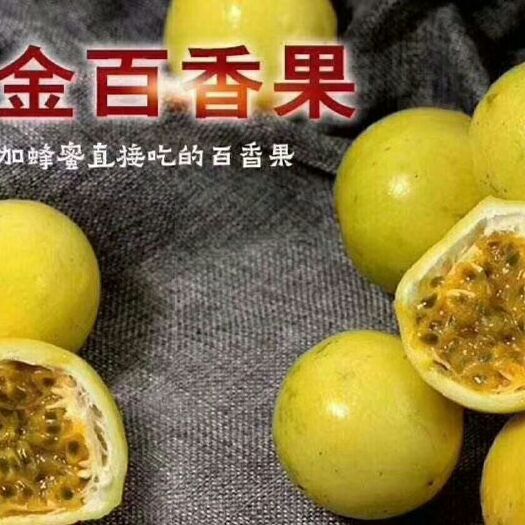 漳浦县 漳州黄金百香果