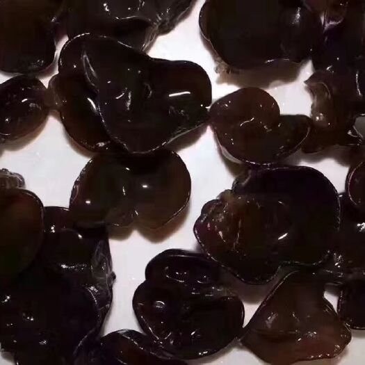 穆棱市 东北黑木耳