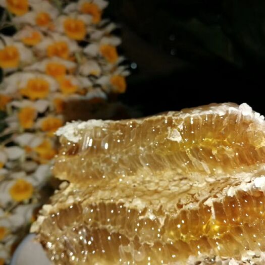 野生蜂蜜 野生放养 蜜蜂
