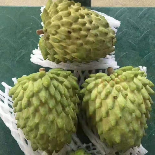 景洪市 凤梨释迦果