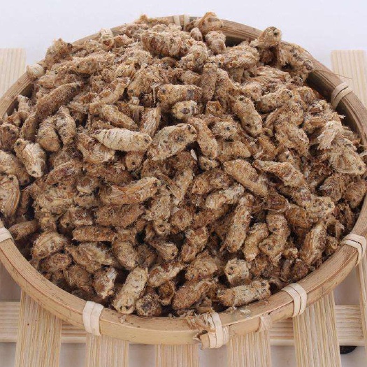 蚕蛹  雄蚕蛾 过筛选个 泡酒 可代打粉 一斤起包邮