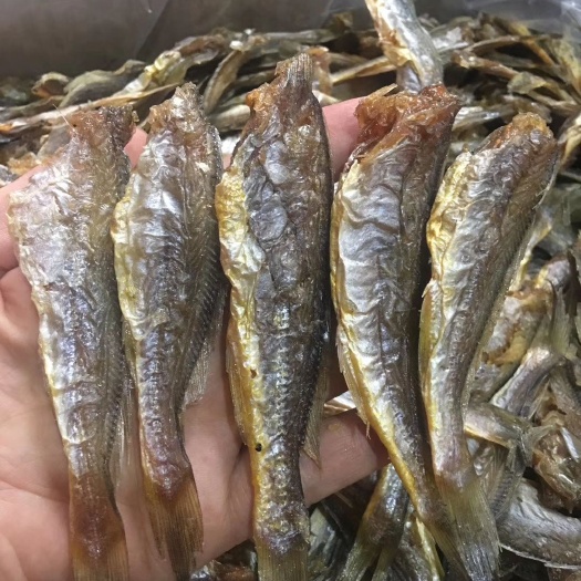 滨州黄鱼干 烘干小黄鱼