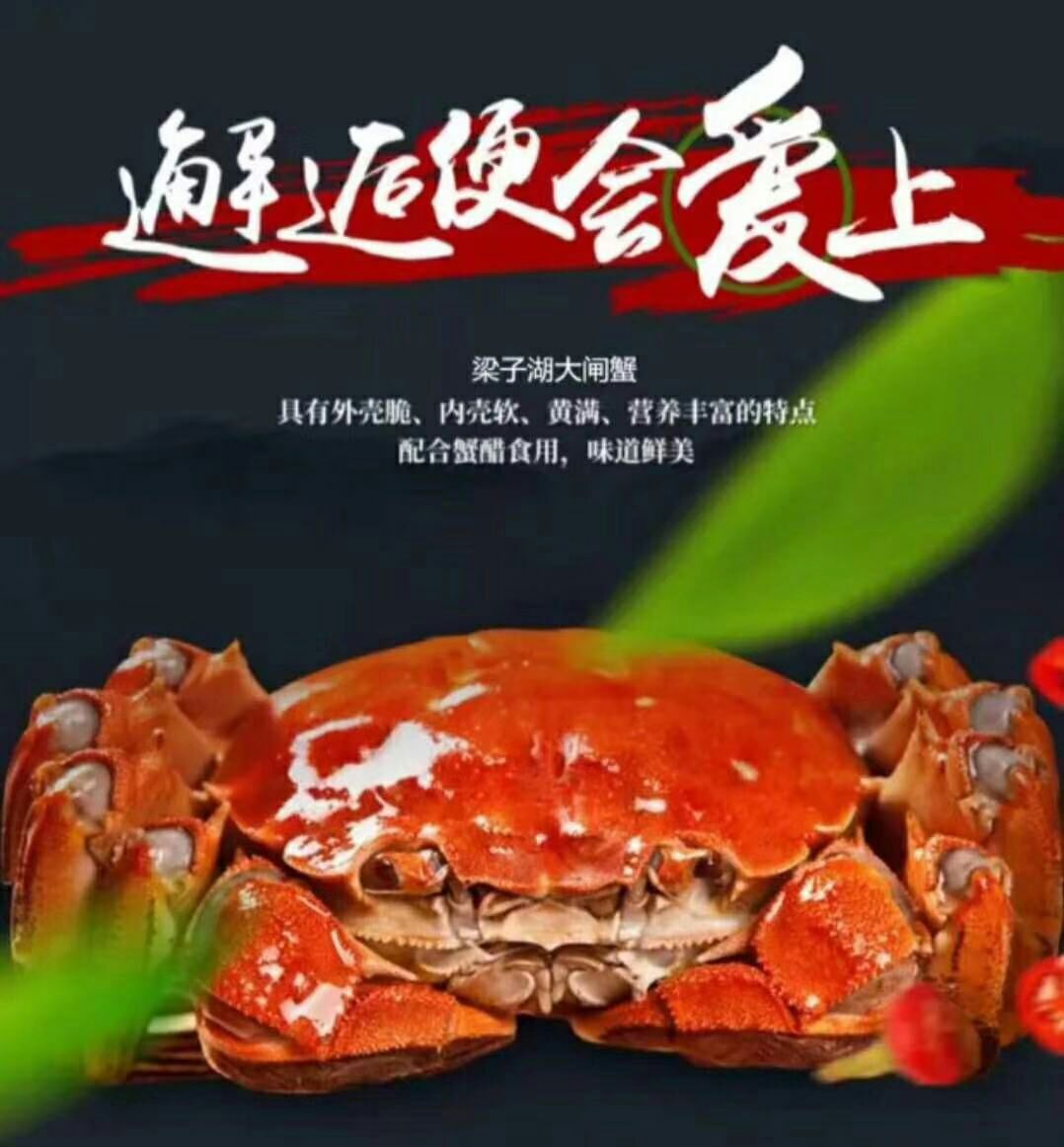  ***大闸蟹   成品蟹养殖基地 全国直供量大优惠10只装