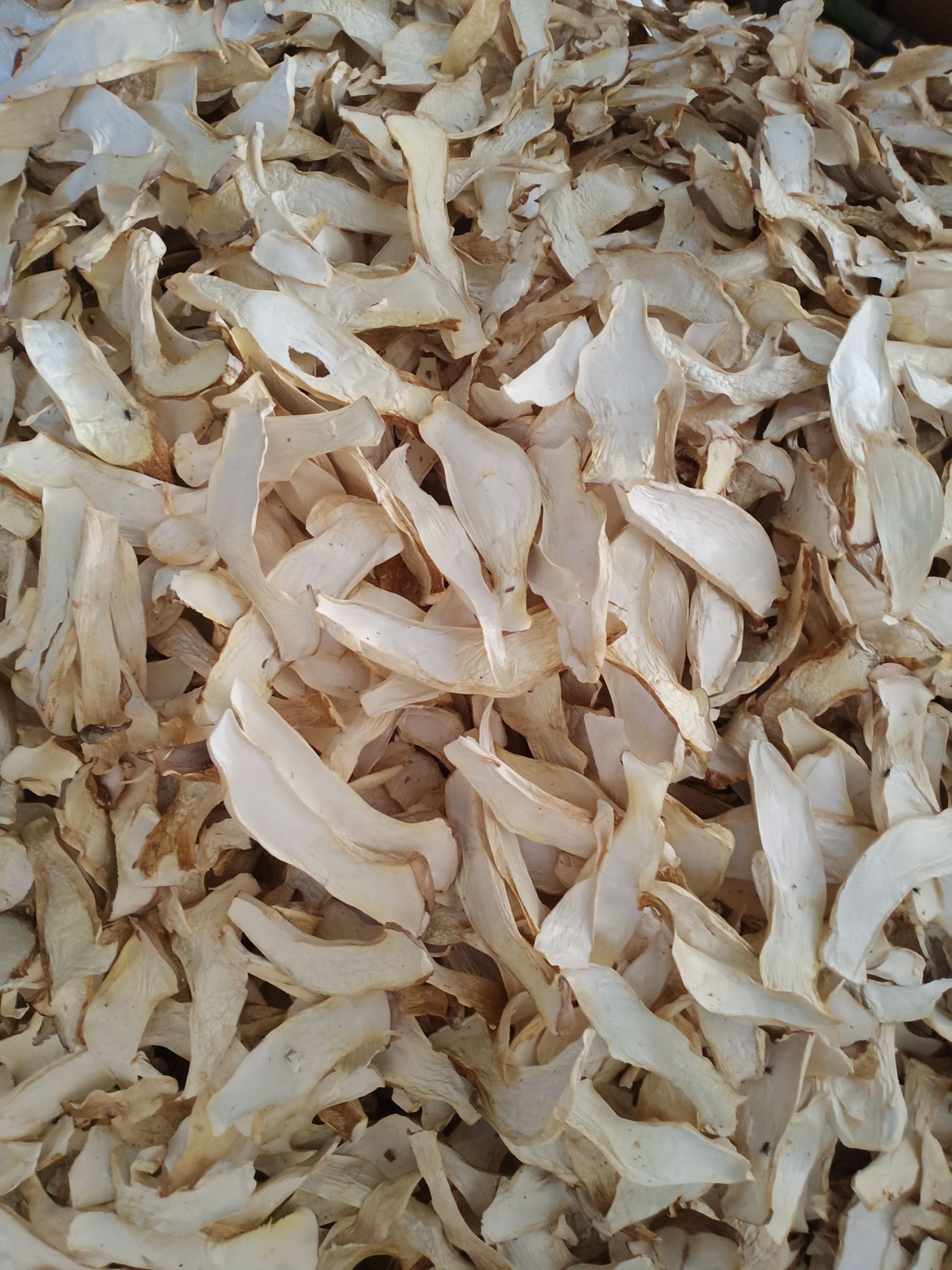 范县干杏鲍菇 干杏鲍菇 一级 3cm~4cm
