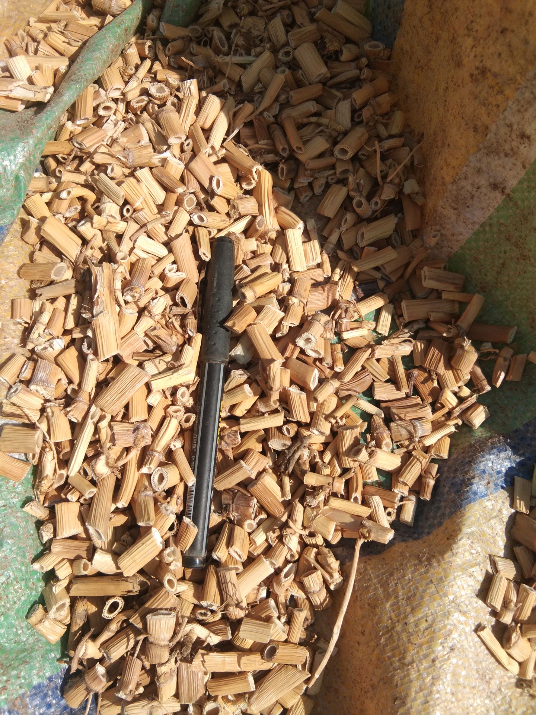  旱地芦根，来自陕北子洲黄土高原，干净无杂质