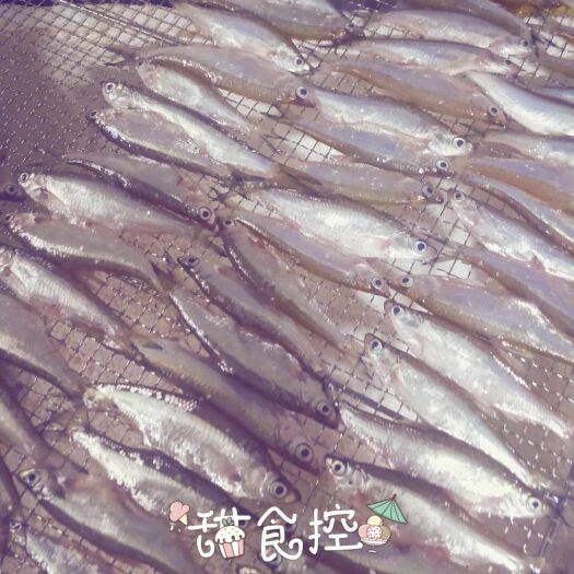 海口休闲鱼仔 蓝刀，肥鱼仔