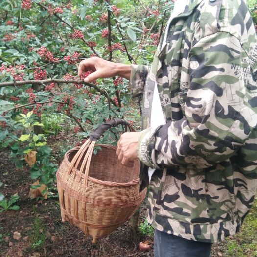 汉源县汉源花椒 二级 干花椒
