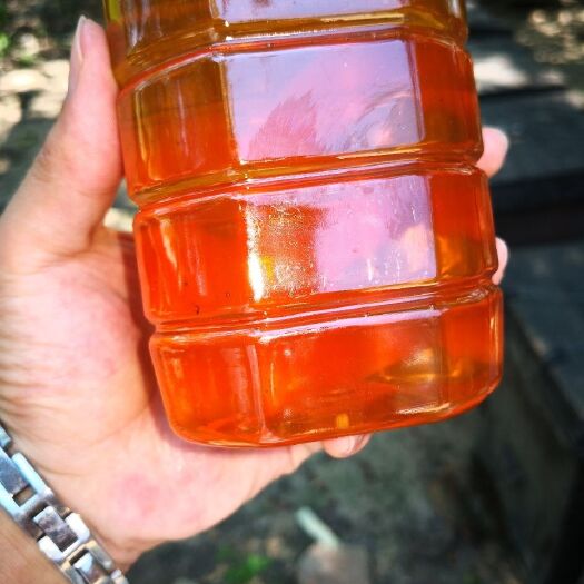 平舆县蜂巢蜜 天然，，绿色蜂产品