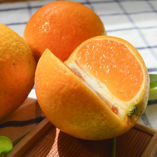 上海蜜香橙 香橙批发
