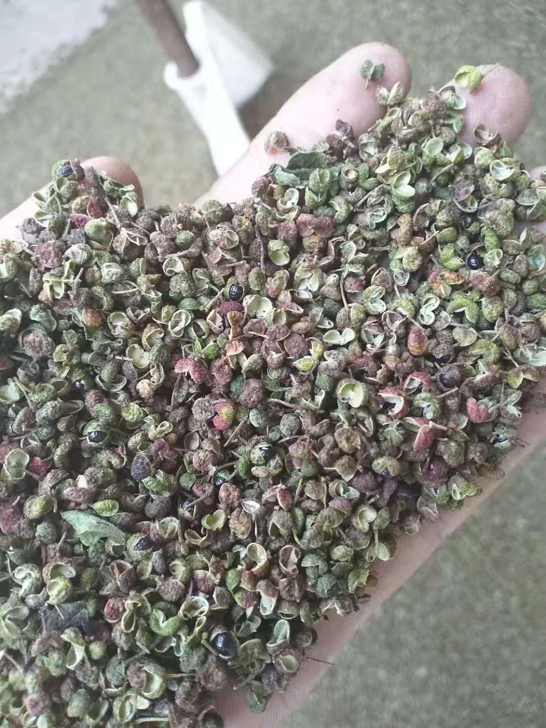  花椒，莱芜青花皮花椒