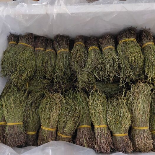 东兴市独脚柑 一手货源，一级货