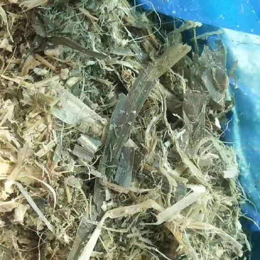 唐山青贮类饲料 玉米空秸秆青贮，粉碎甜玉米芯青贮，全株青贮玉米，苜蓿等饲草