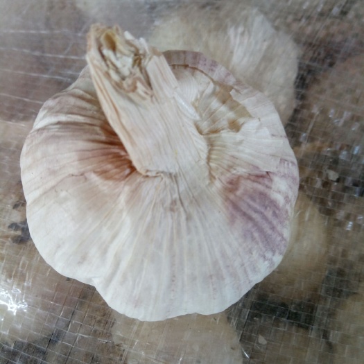 乐平市紫皮大蒜 2019新干蒜紫皮红蒜早熟大混级分级蒜干度在九成干左右。