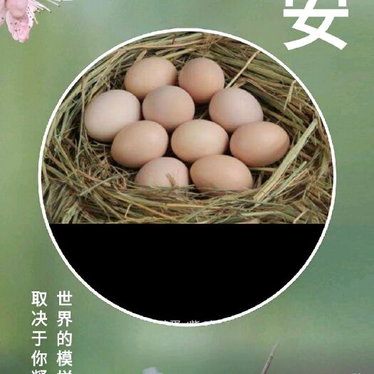 蒙阴县土鸡蛋 食用 箱装