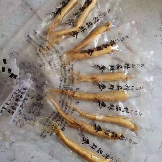 抚松县园参 家用保鲜参【优惠】