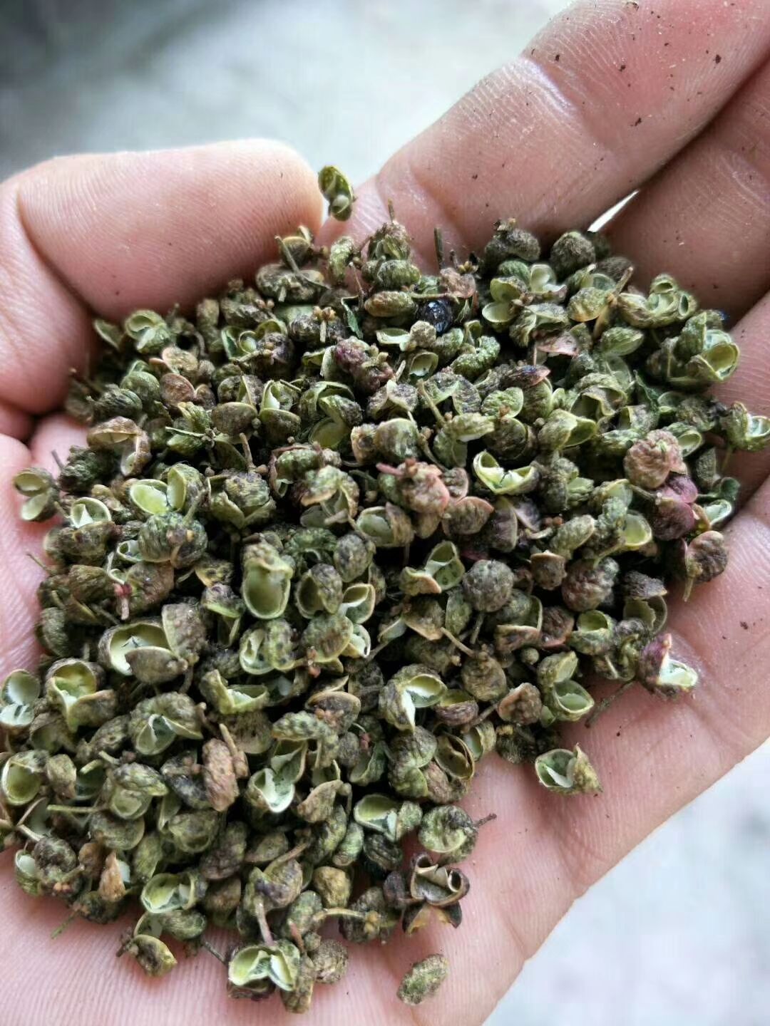  花椒，莱芜青花皮花椒