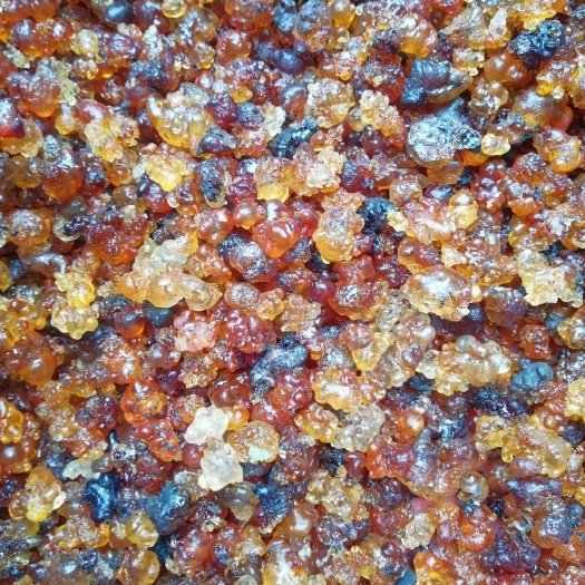 麻城市食用桃胶 产地一手货源，量大从优，天然