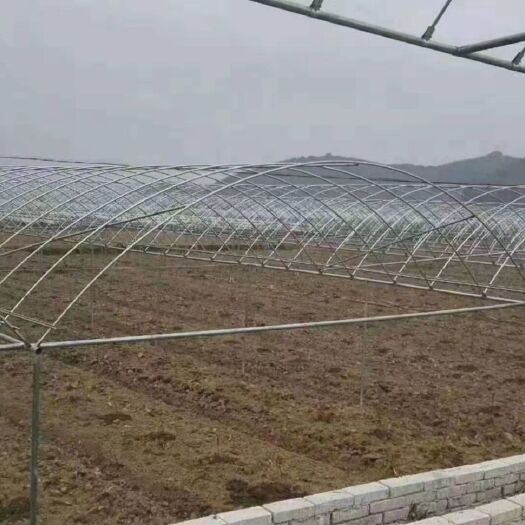 沭阳县大棚管 大棚设备