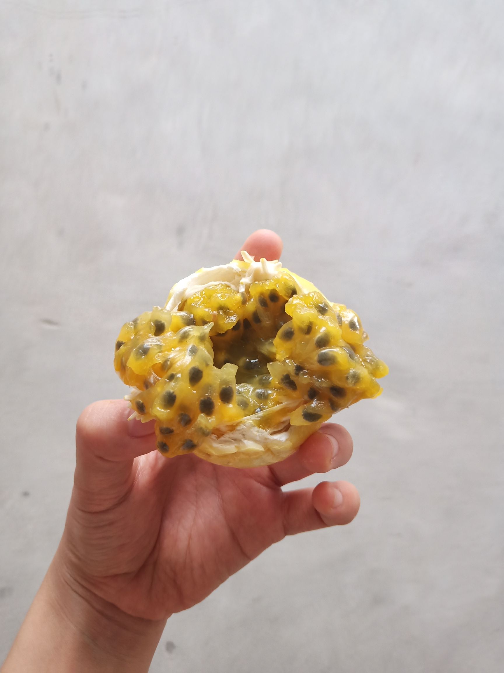  黄金百香果中果芭乐味单果:55-70克 量大价优 运费协商