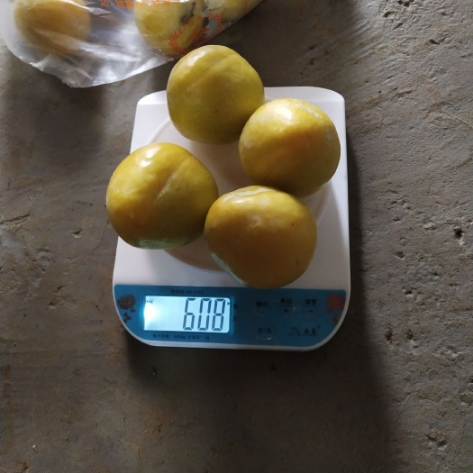 贵阳 黄金奈李