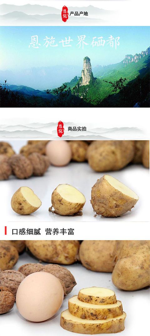 马尔科种薯 恩施马尔科小土豆，10克20克，夏天放二个月不烂，不长芽，