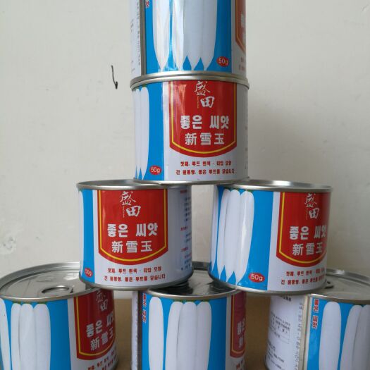 绵阳韩国萝卜种子 长白萝卜种子九斤王萝卜种种子南畔洲萝卜种子