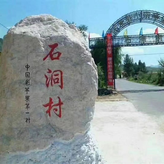 怀来县八棱海棠果