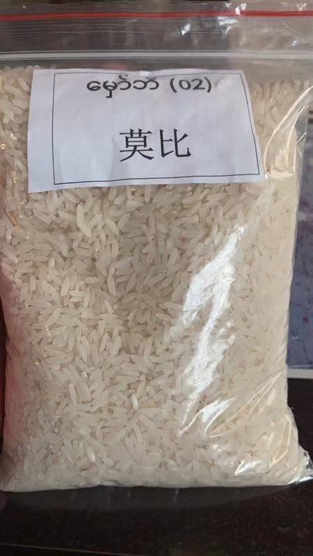 瑞丽市 缅甸优质莫比大米