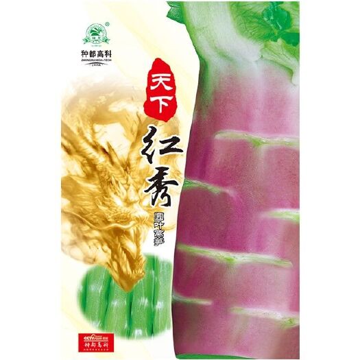 成都莴笋种子 红叶红皮香莴笋