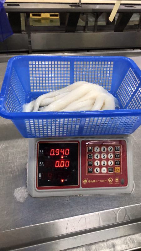 烟台印度洋鱿鱼