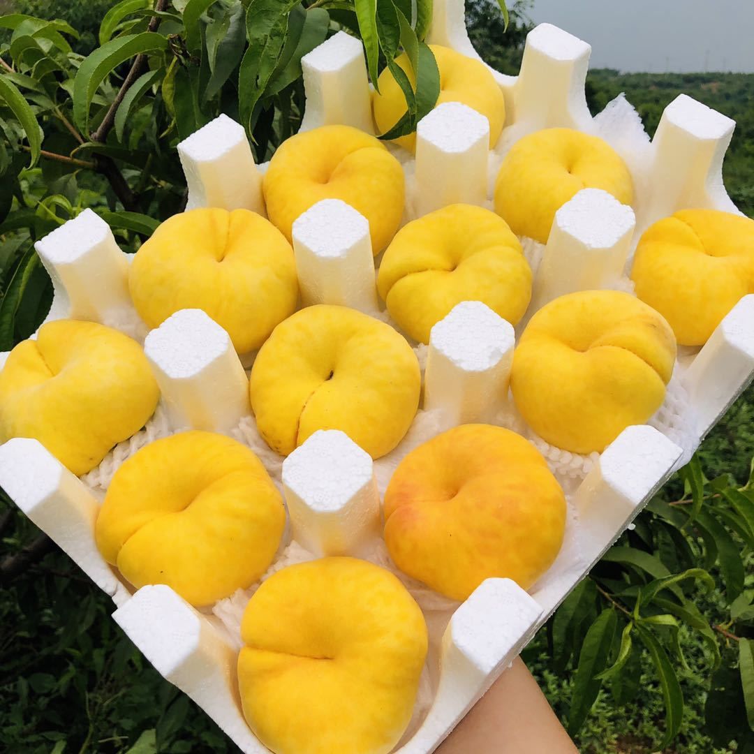 黄蟠桃  【坏果包赔】沂蒙山黄金蟠桃，香甜可口，桃味十足