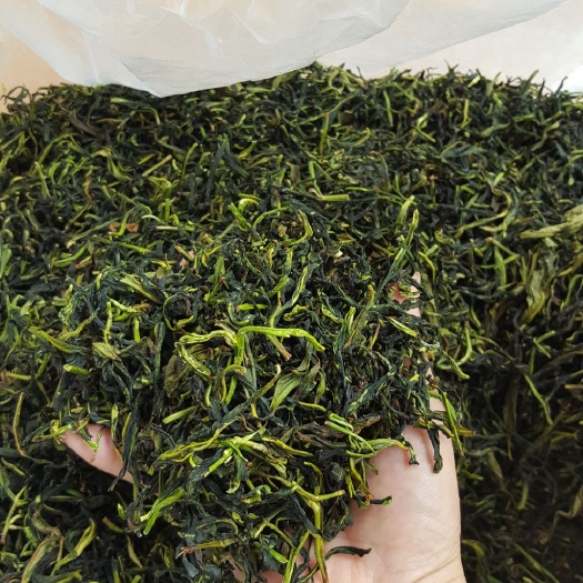 惠东县广东单枞 凤凰抽湿单从，兰花香