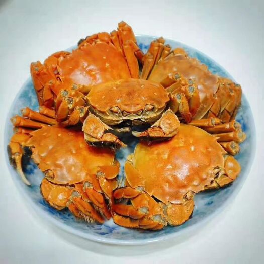 盘山县 正宗盘锦河蟹