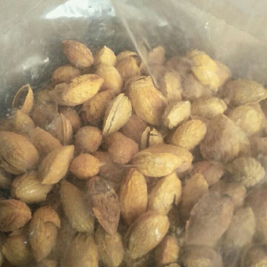 沧县 薄皮盐焗奶香巴旦木