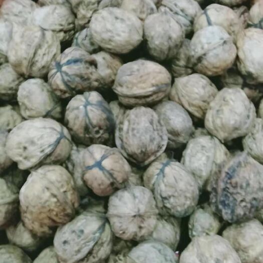 眉山 新鲜去青皮核桃，纯生态，量大价格在谈