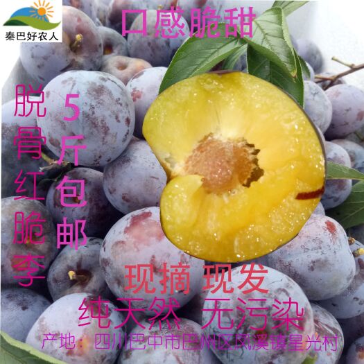 巴中脱骨李 脆红李 红脆李  基地直发