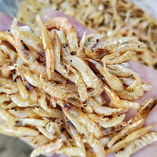 资兴市 虾皮特级小河虾米虾皮