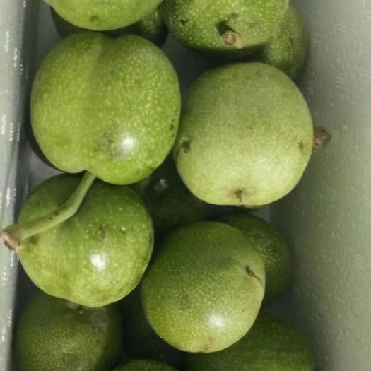 山阳县 青皮鲜核桃