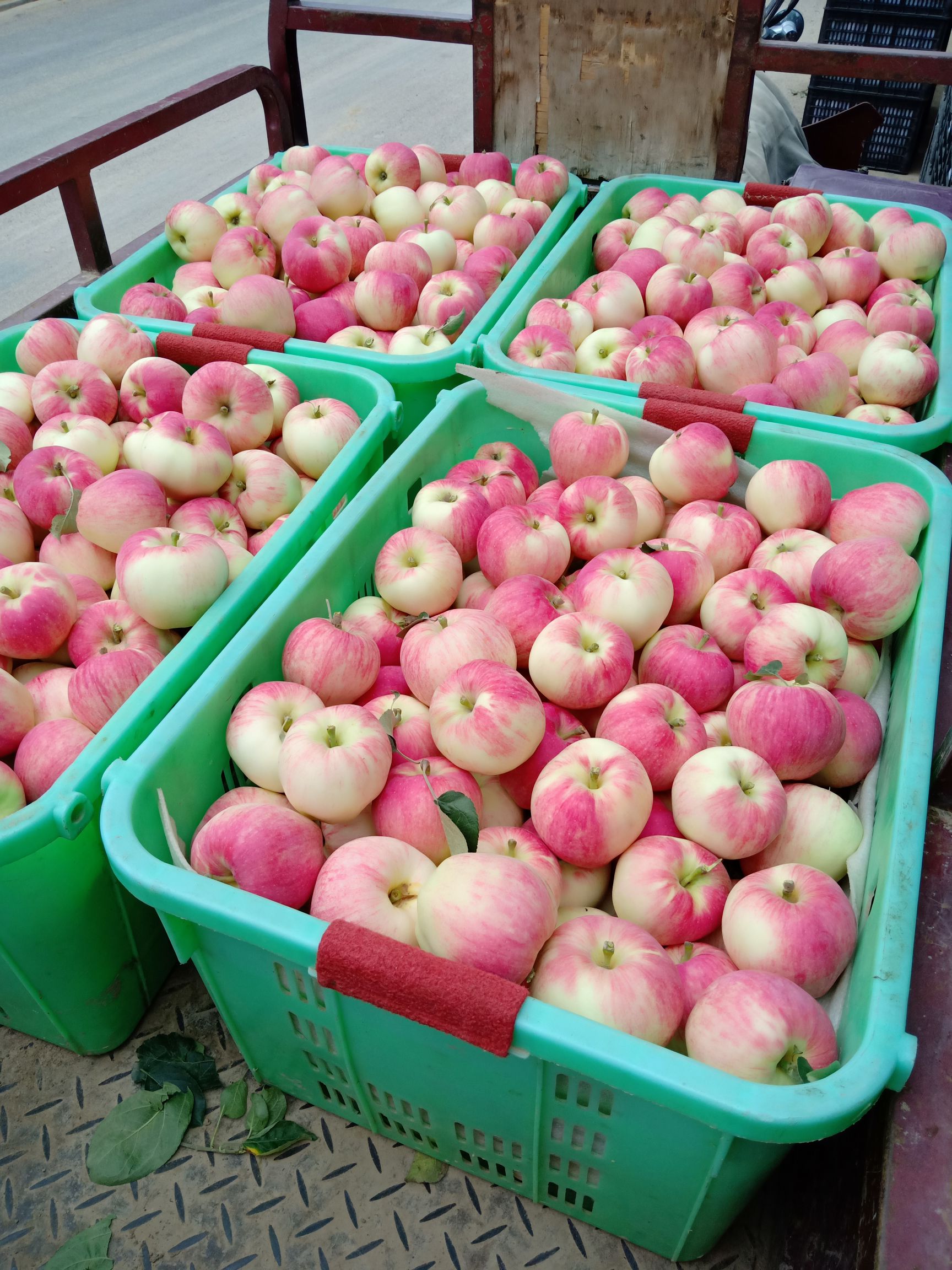 苹果批发采购_苹果供应_苹果价格_苹果批发网